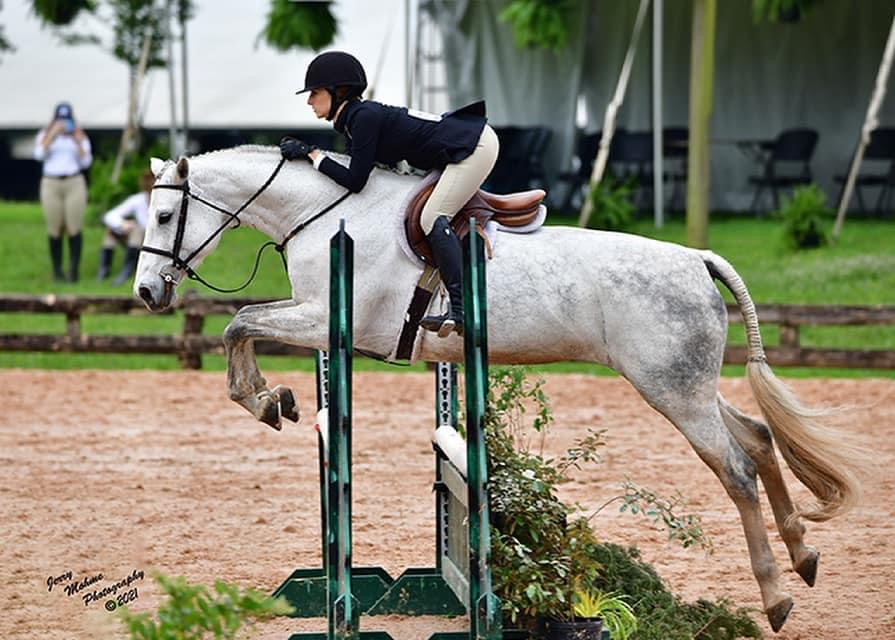 Horse Sales Oklahoma and Surrounding Areas