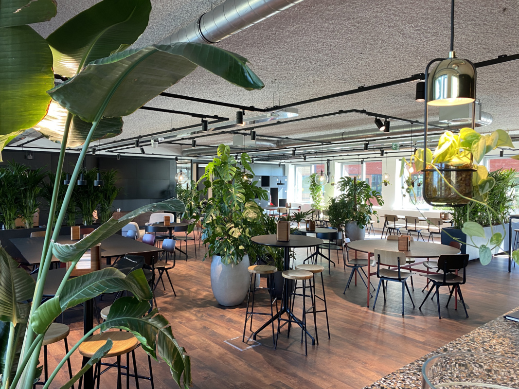 Urban jungle offices EILO