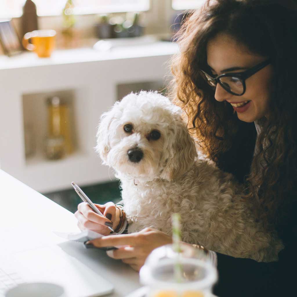 Hunde PetCare einfachVersichert.at