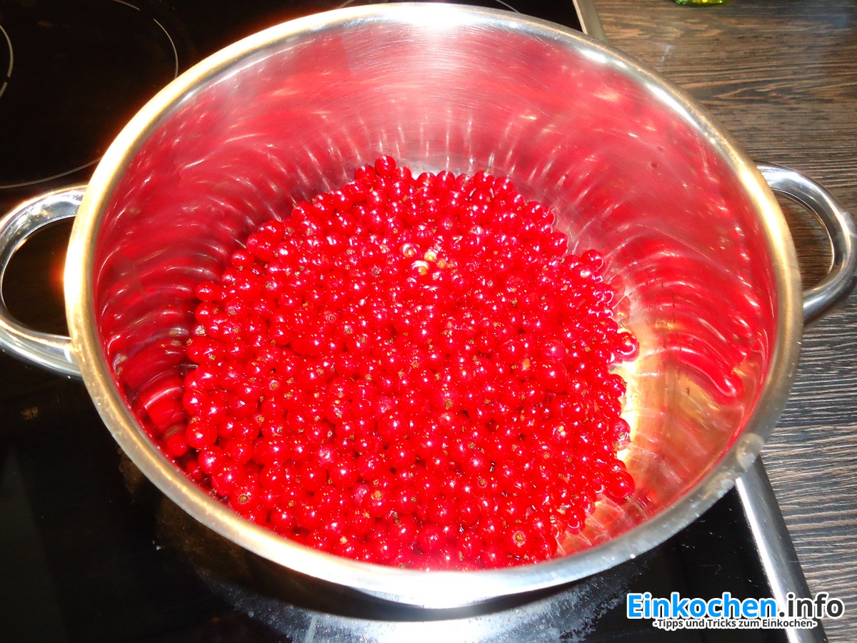 Johannisbeergelee kochen Einkochen.info