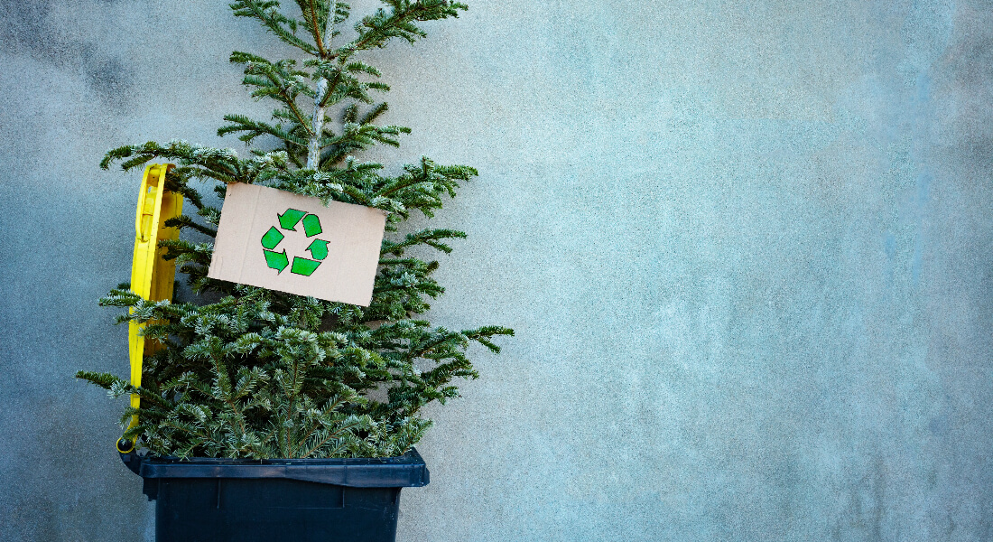 Christmas Tree Recycling & Donation Options • Long Island & NYC