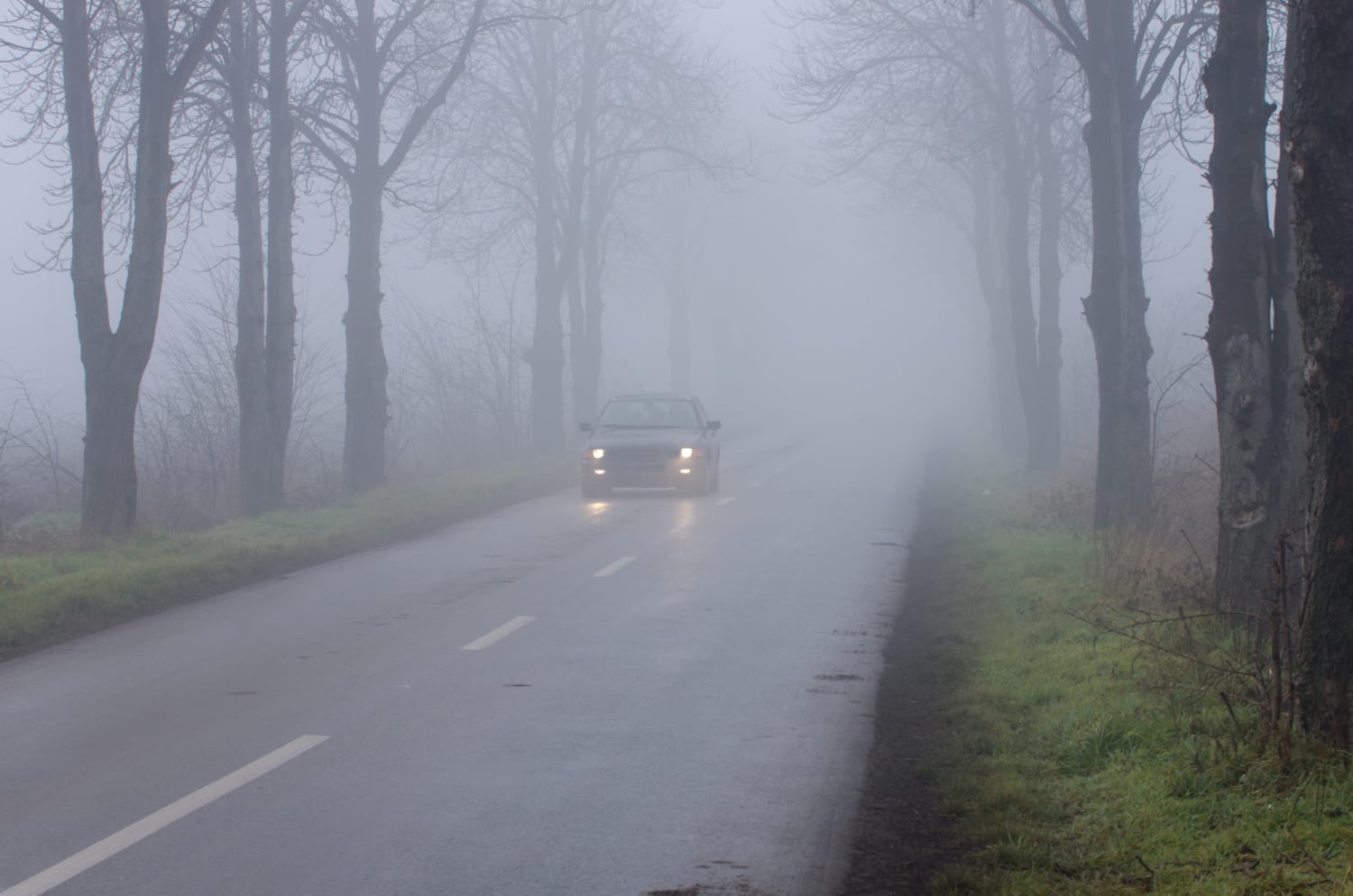 Tips for Driving in Fog | How to Avoid Car Accidents? | EINSURANCE