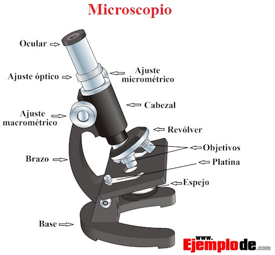 Microscopio