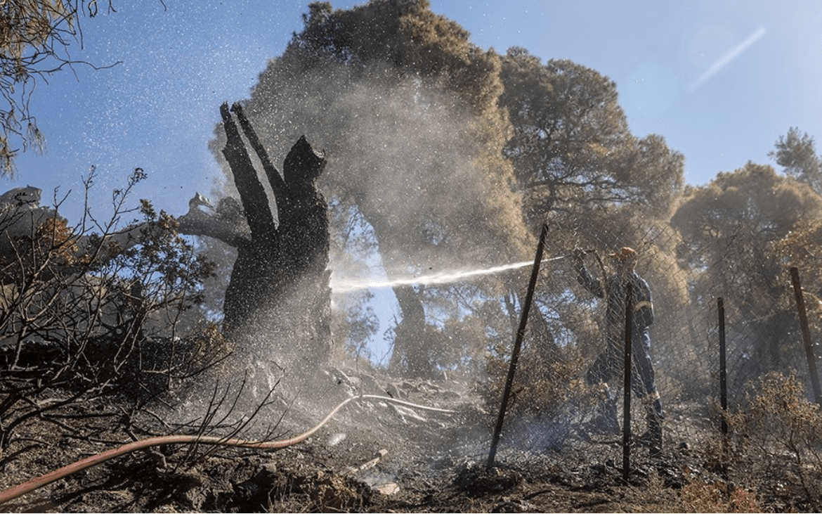 West Attica wildfire to be contained by nightfall, Fire Service chief