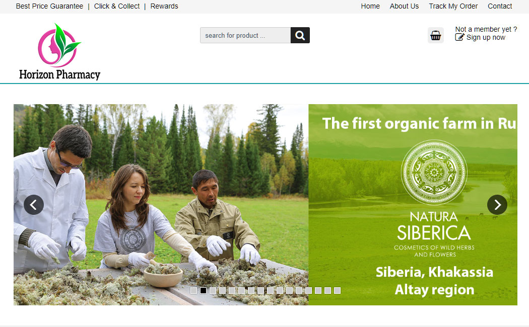 Horizon Pharmacy Eko Solution Penang Website Design