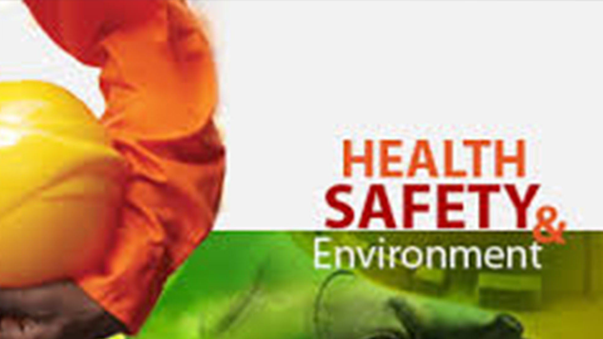 ELARD Our Services Environmental and HSE Service