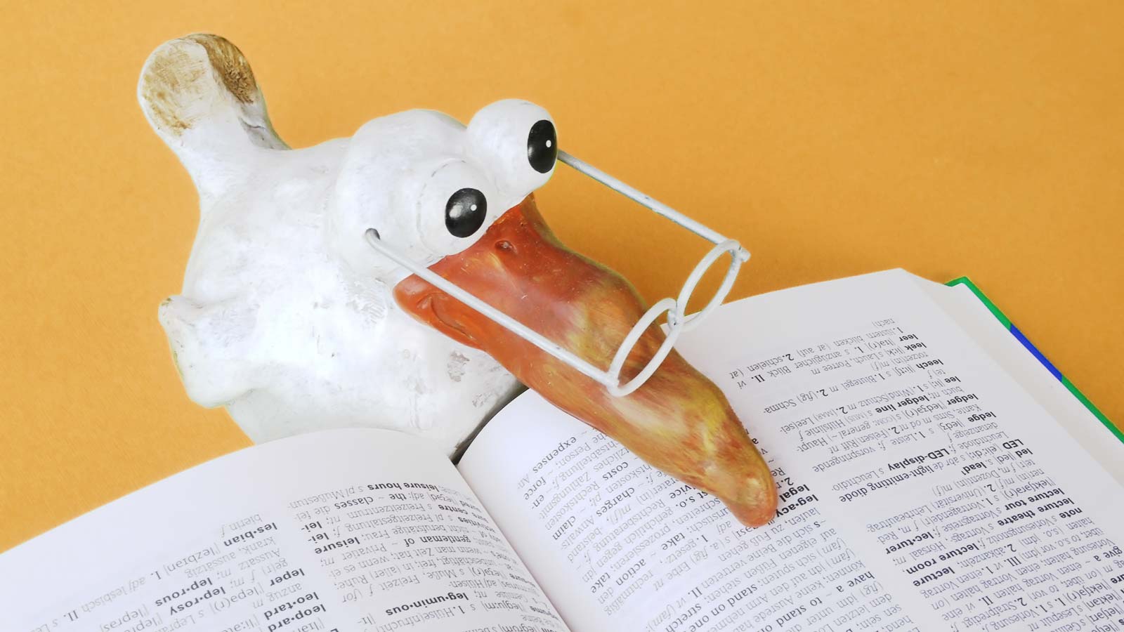 The Entrepreneur’s Tech Dictionary 88 Techie Terms Explained