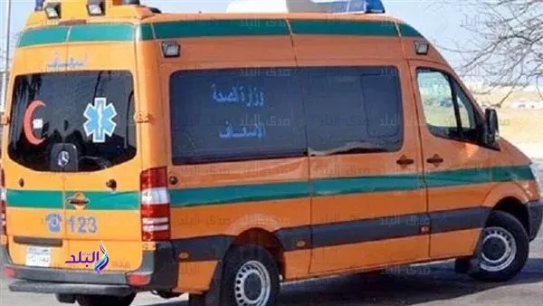 إصابة 6 عمال بإصابات متنوعة إثر انقلاب ربع نقل بالدقهلية إصابة 6 عمال بإصابات متنوعة إثر انقلاب ربع نقل بالدقهلية