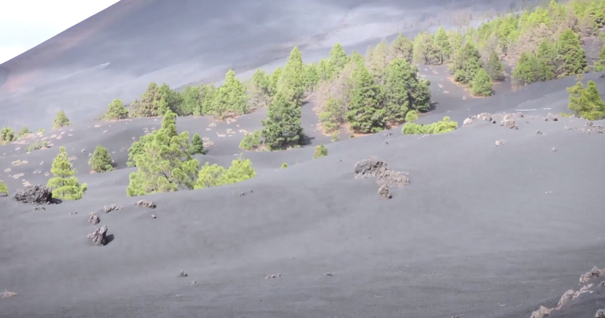 La Palma, un año después de la erupción