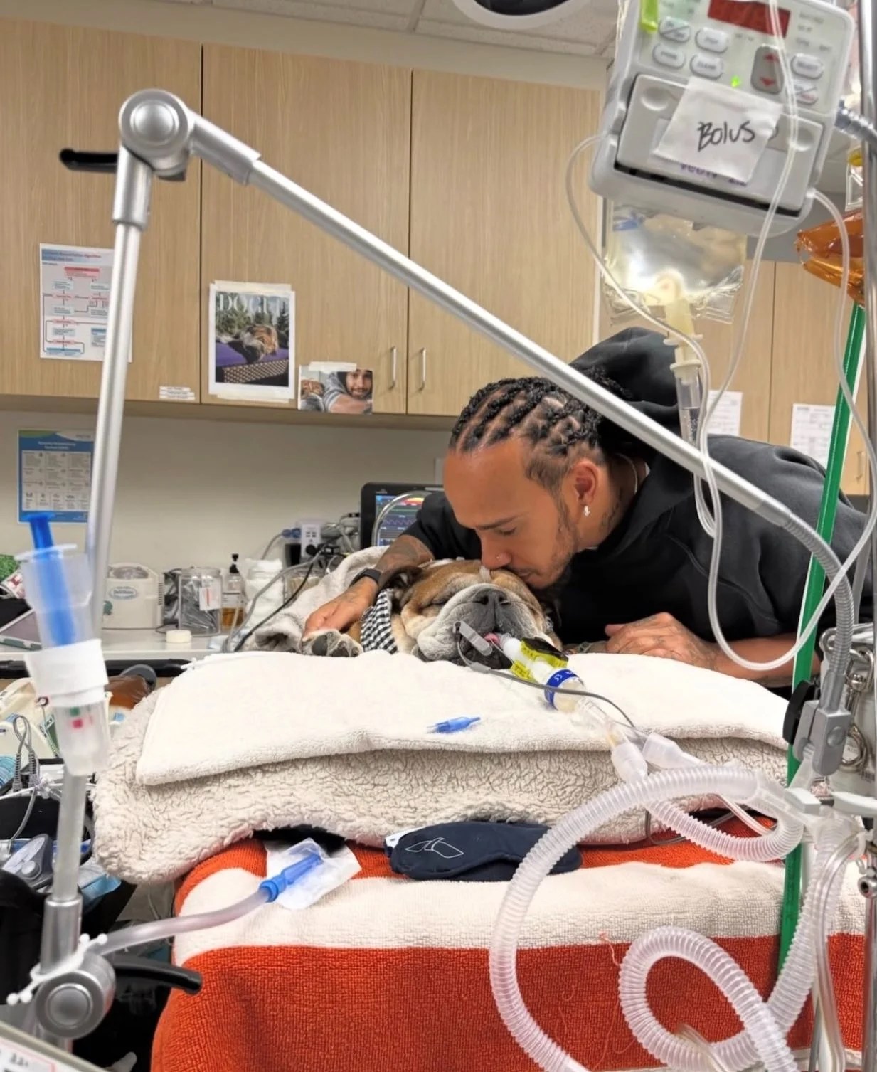 Lewis Hamilton se ausenta de pruebas de Ferrari para acompañar a su bulldog Roscoe en coma