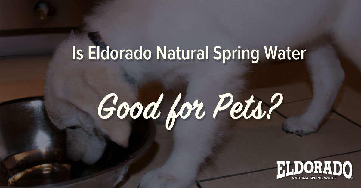 Eldorado Spring Water Blog