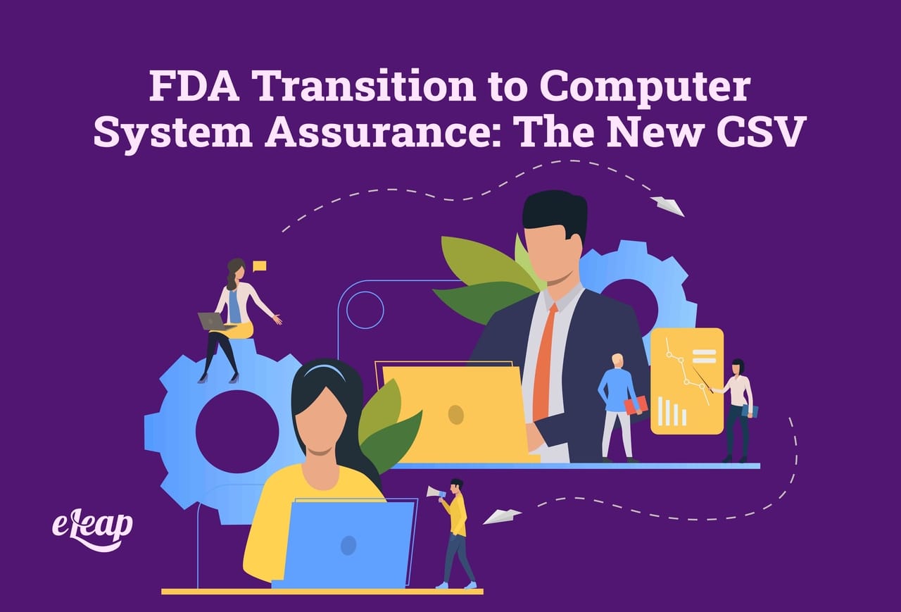 Computer System Assurance FDA Guidance and Case for Quality