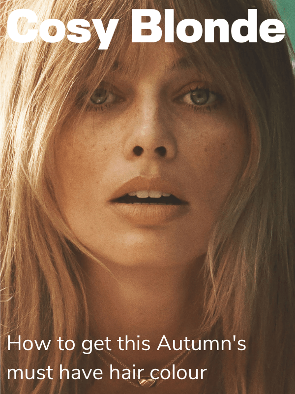 Blog Electric Hair Electric Hair