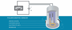 Dissolved Oxygen Analyzer Working Principle
