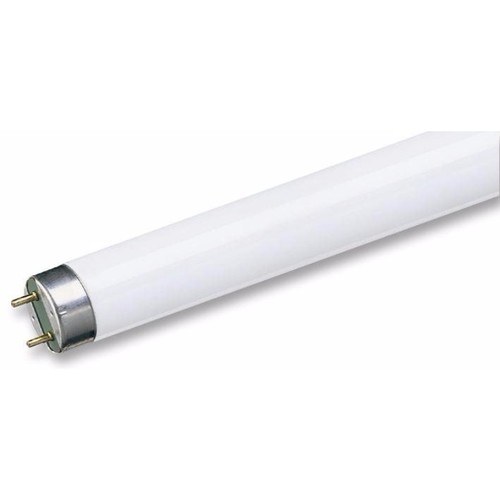 Crompton 58W T8 Fluorescent Tube Triphosphor High Output Lighting