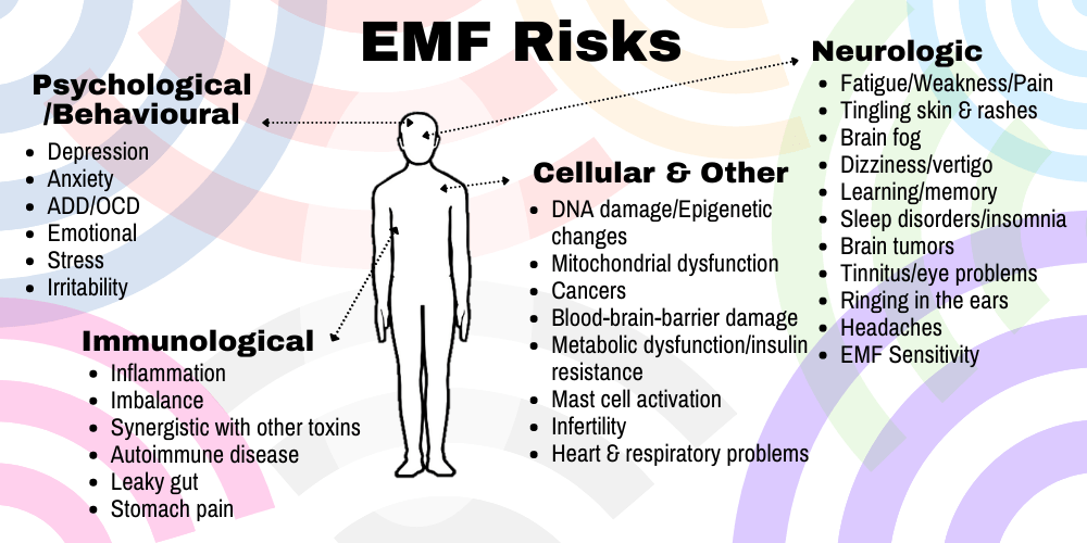 EMF 7 Day Challange ElectricSense