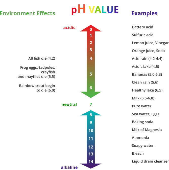 How We Clean Carpets The Chemistry of Cleaning Electrodry Blogs