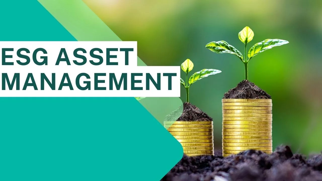 ESG Asset Management Investing In Companies That Align With Your Values