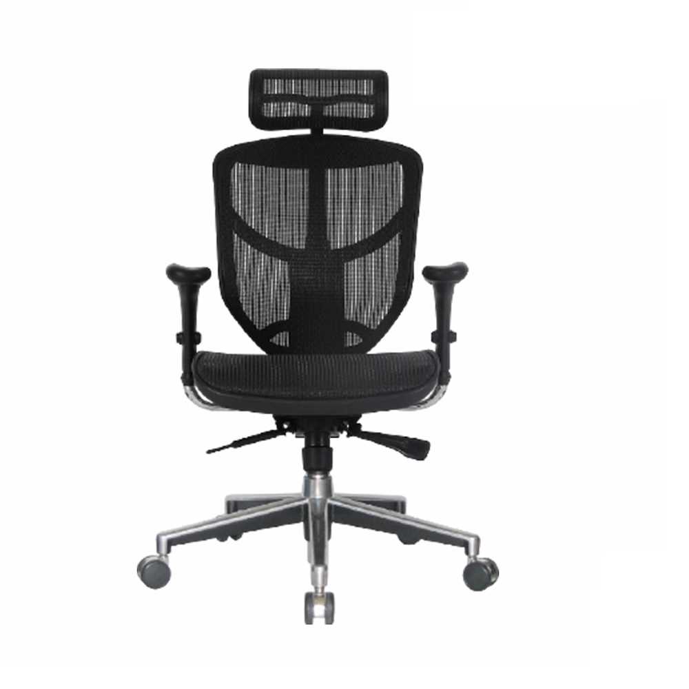 Ergohuman Pro Chair / Office Chair Online at Best Price in Singapore