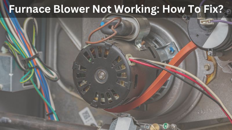 Furnace Blower Not Working: How To Fix?