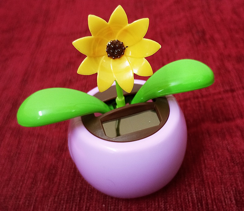 Solar Dancing Flower