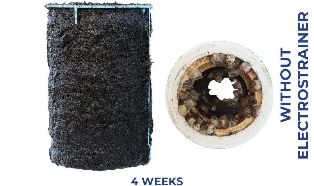 ElectroStrainer: The Smart Solution For Clean Seawater Cooling