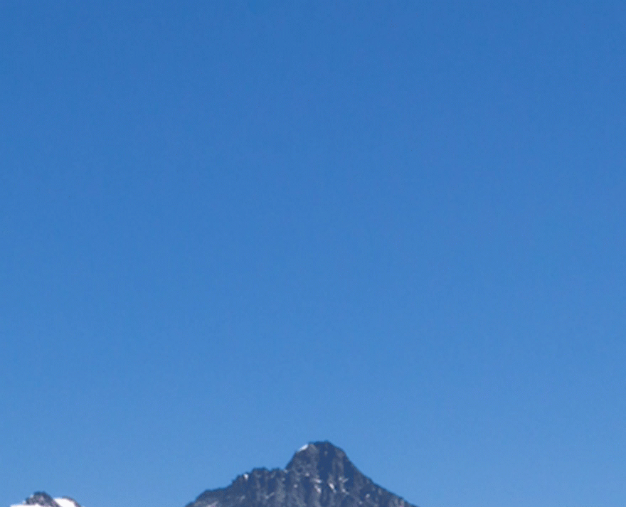 How to Use Divi’s New Animation Effects Elegant Themes Blog