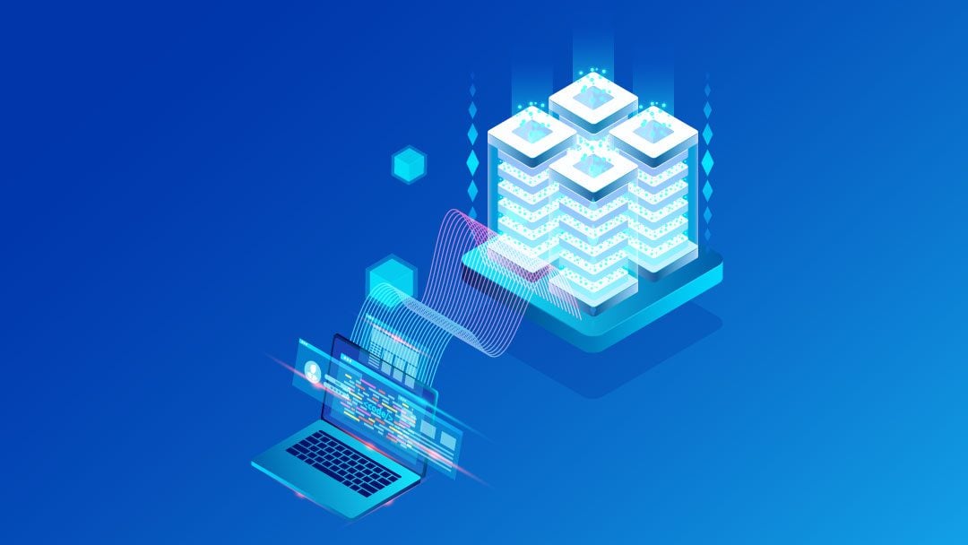 What's the Difference Between Domain Hosting and Web Hosting?