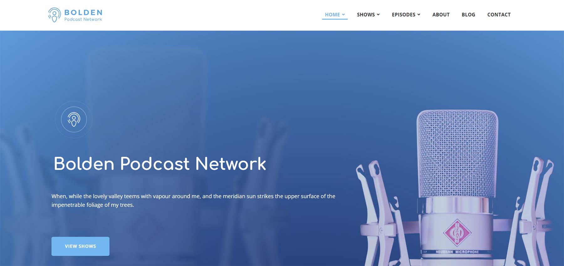 11 Best WordPress Podcast Themes in 2025 (Compared)