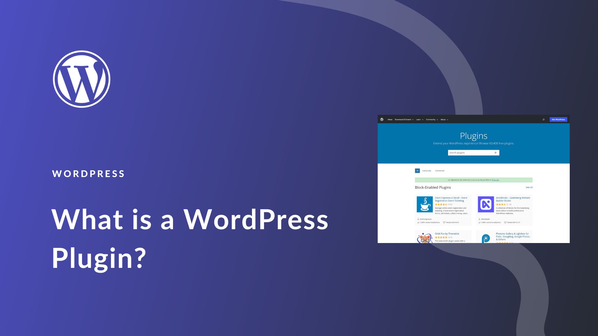 What is a WordPress Plugin? A Beginner's Guide for 2024