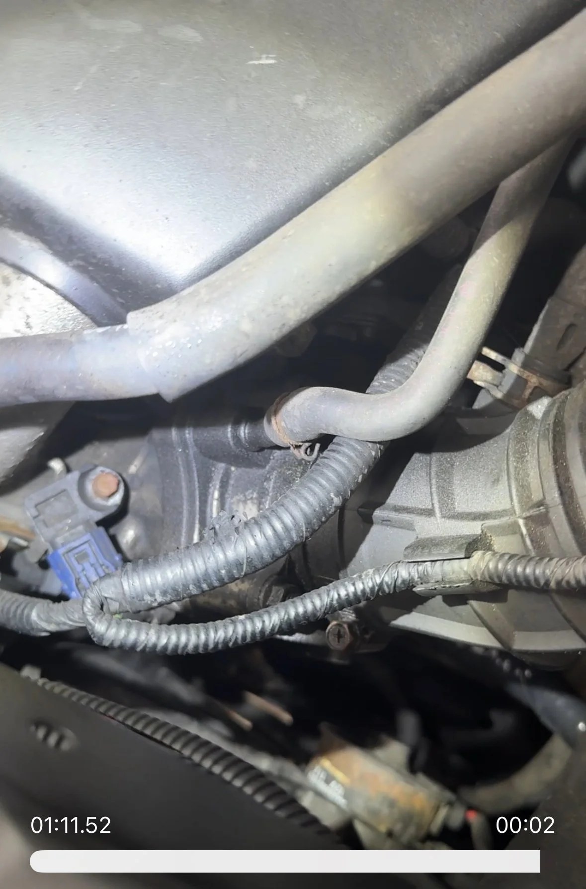 Oil leaking/ collecting at throttle body | Honda Element Owners Club