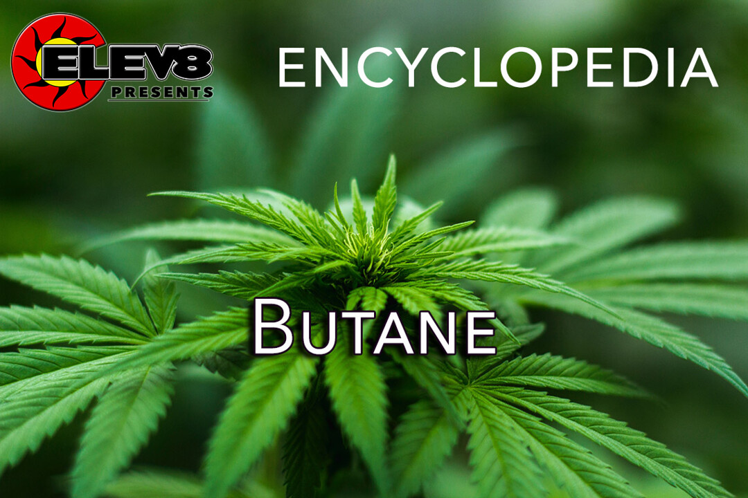 Butane – Elev8 Presents
