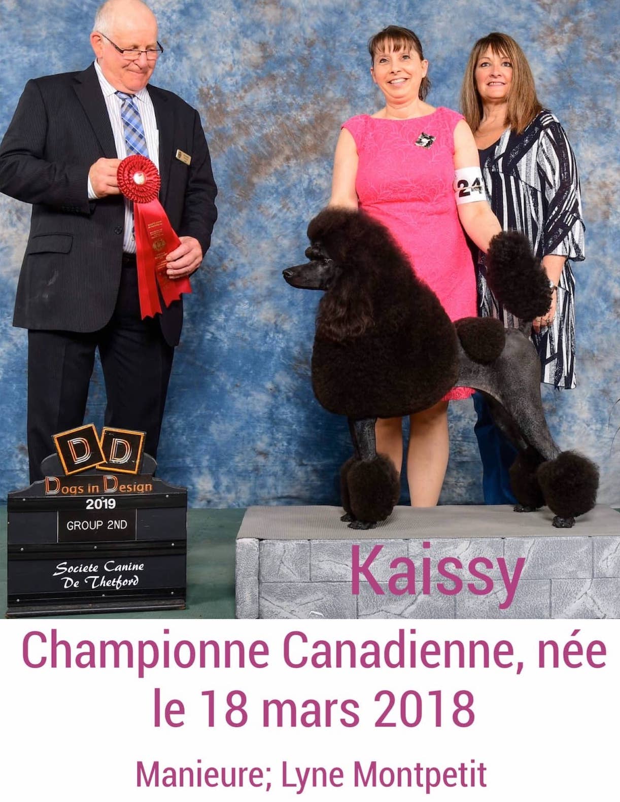 Nos champions Élevage Royal Valmy