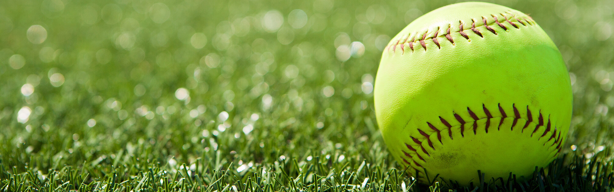 Indoor Baseball & Softball Leagues Elevate CNY Sports Complex