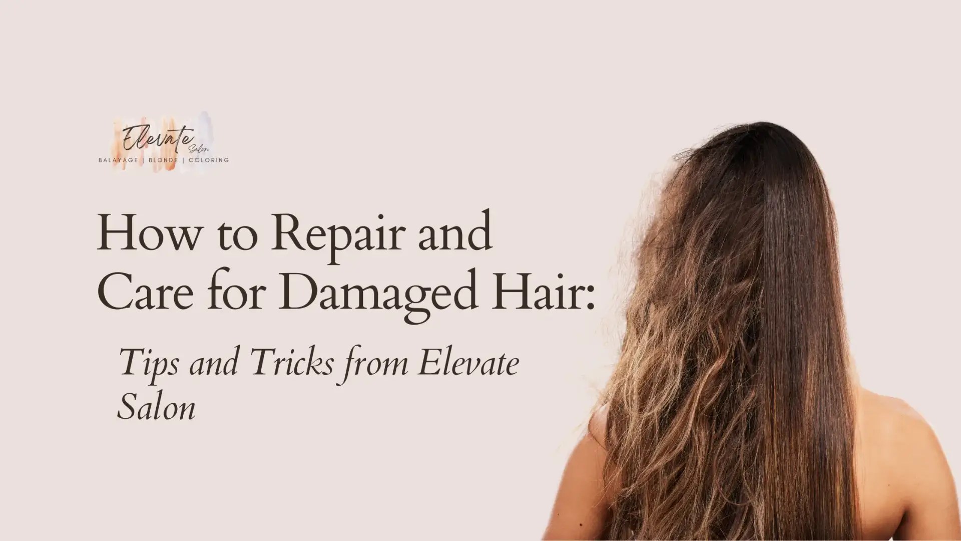 How to Repair and Care for Damaged Hair Tips and Tricks from Elevate