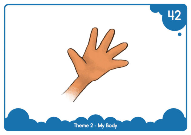 EasyPrint "My Body" Flash Cards ELF Learning