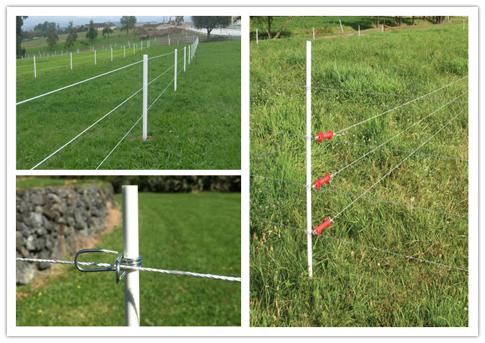 Electric Fence Posts,Including Step In Posts, Fiberglass Posts and more!