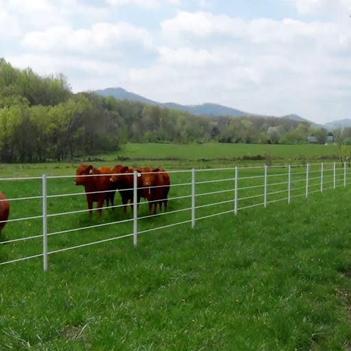 Electric Fence An Ultimate Guide