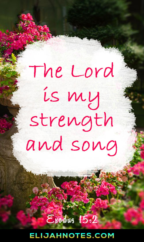 Top 10 Bible Verses About Fasting Elijah Notes