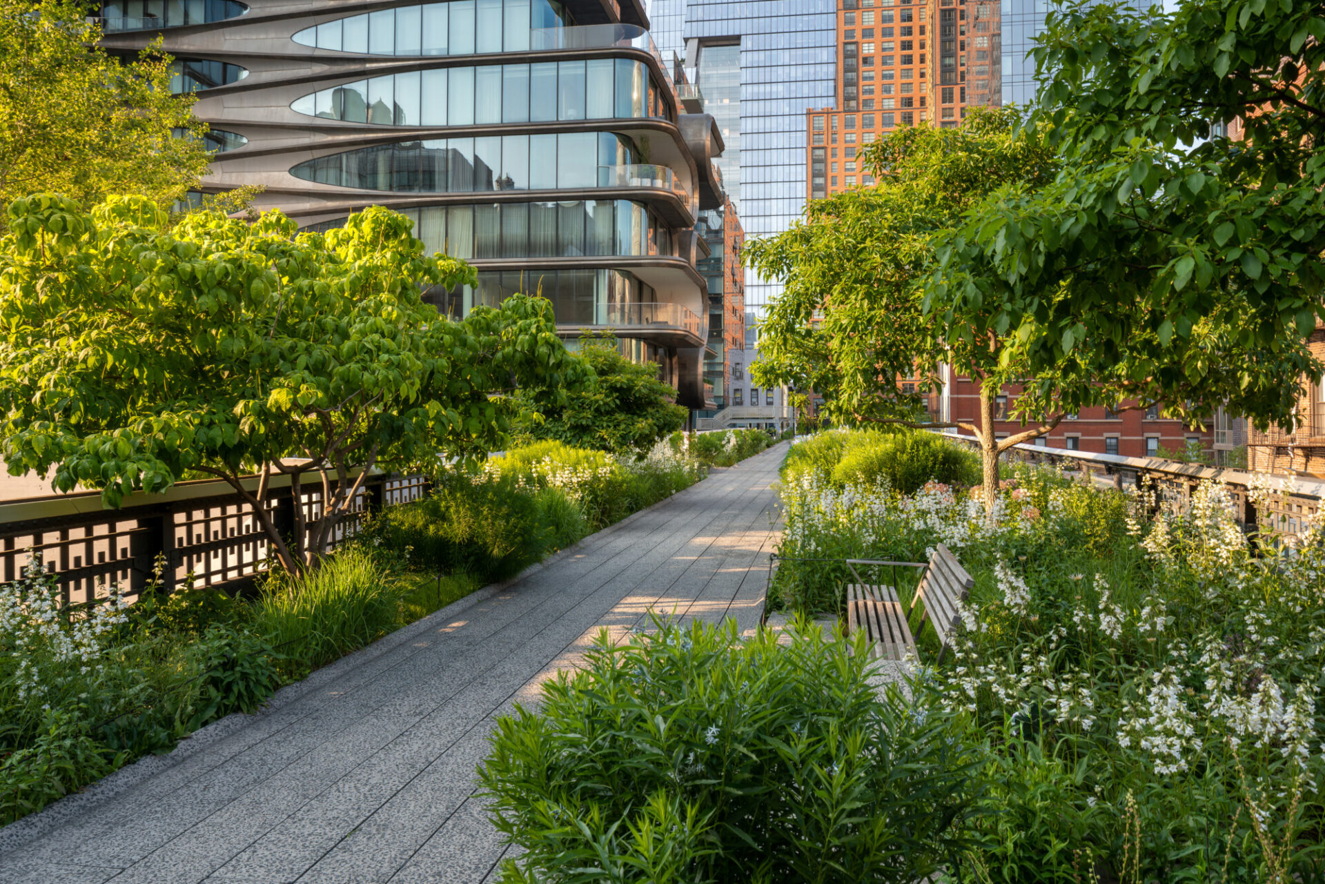 The High Line A Transformative Urban Park in New York City ELIKA New