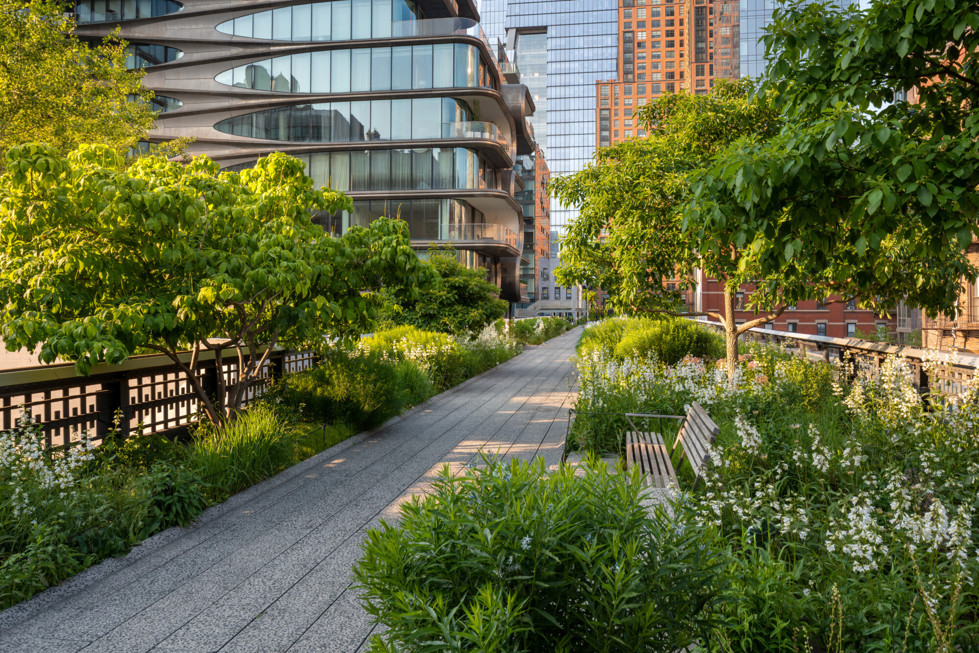 The High Line A Transformative Urban Park in New York City ELIKA New