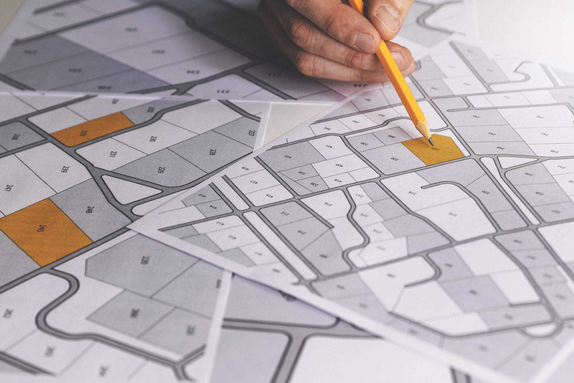 Encroachment in Real Estate Causes and Resolutions ELIKA New York