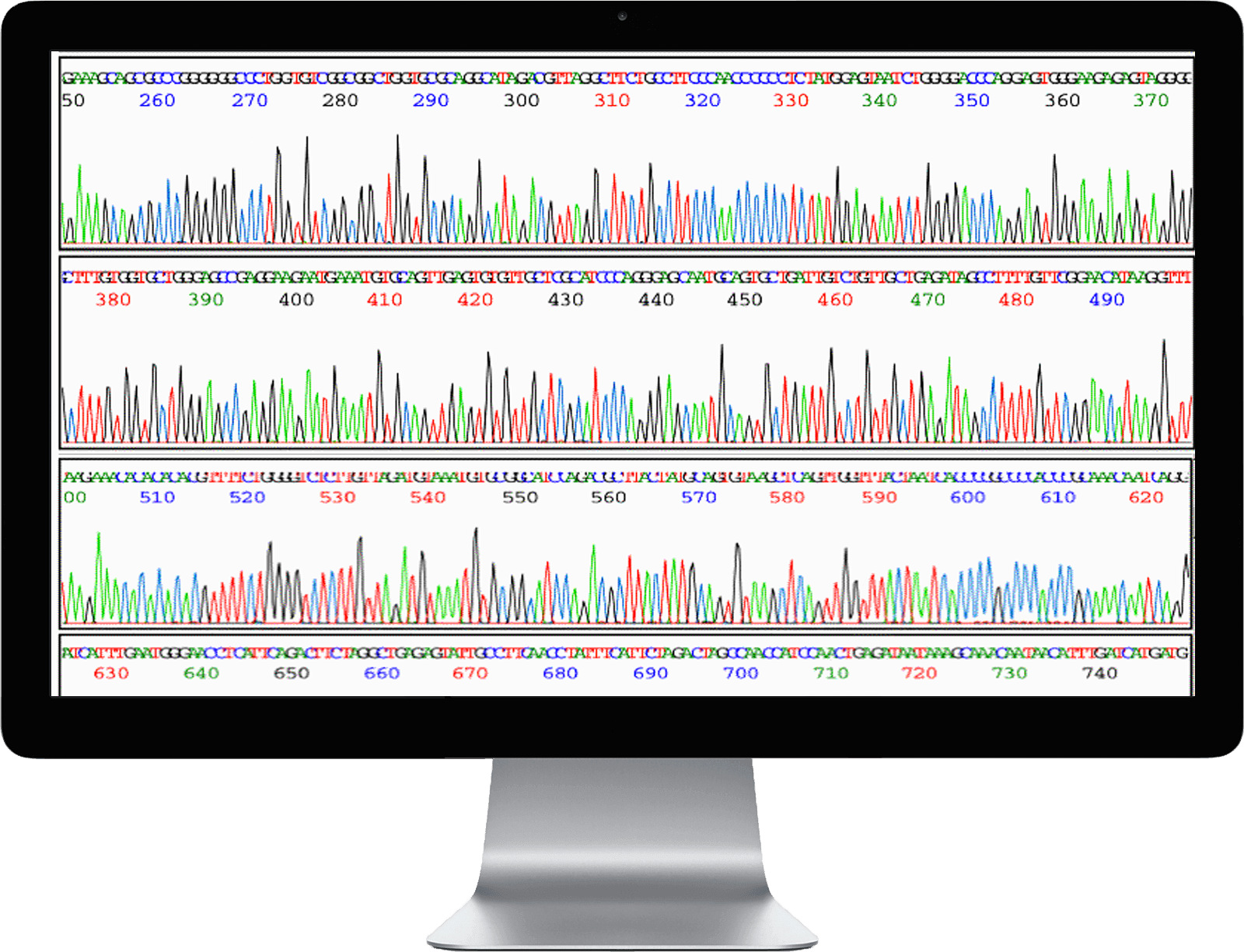 DNA Sequencing ELIM BIOPHARM