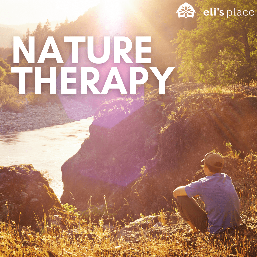 What is Nature Therapy? eli's place
