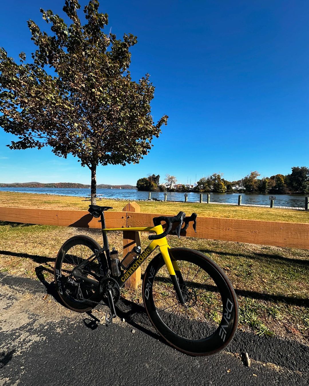 Drive 65D On Cannondale SuperSix Evo HiMod Elitewheels