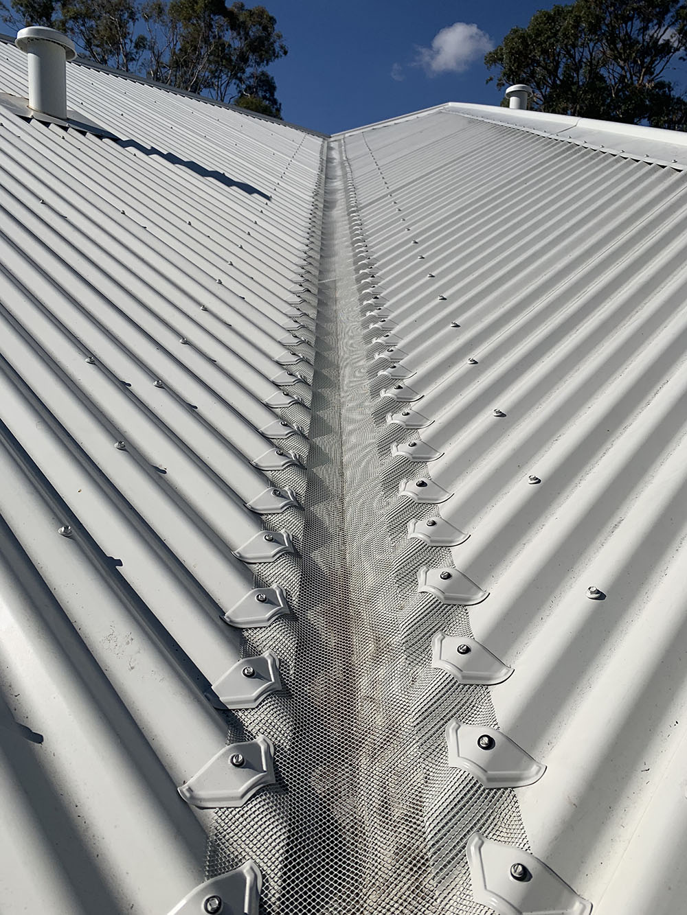 Gallery Elite Gutter Guards