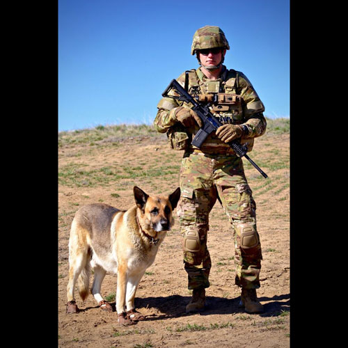 Dog Mocs Leather Dog Moccasins