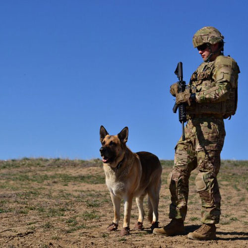 Dog Mocs Leather Dog Moccasins