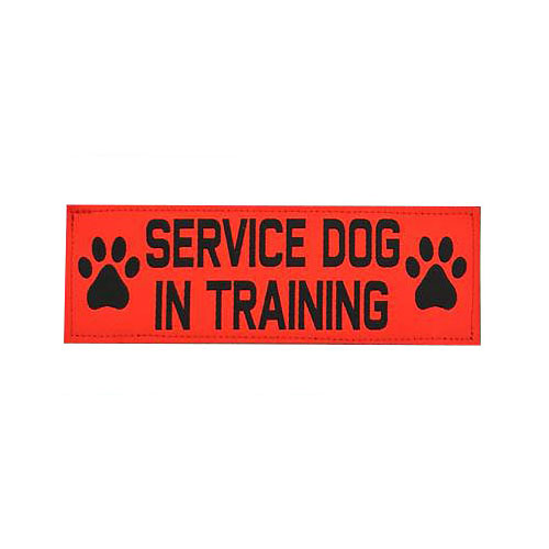 Service Dog In Training Velcro Patch