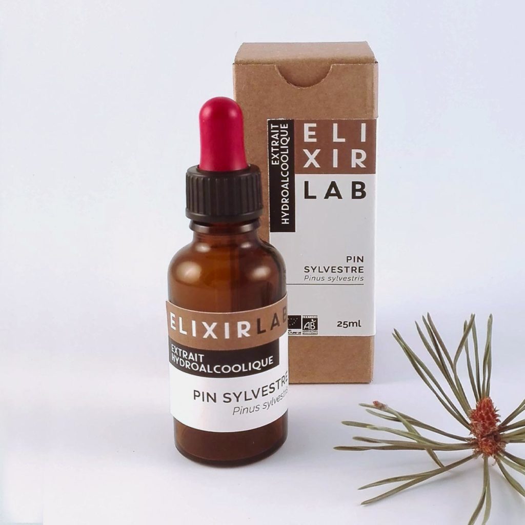 Pin sylvestre aiguilles fraiches ElixirLab